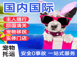 甘南夏河机场物流国际宠物托运 【国